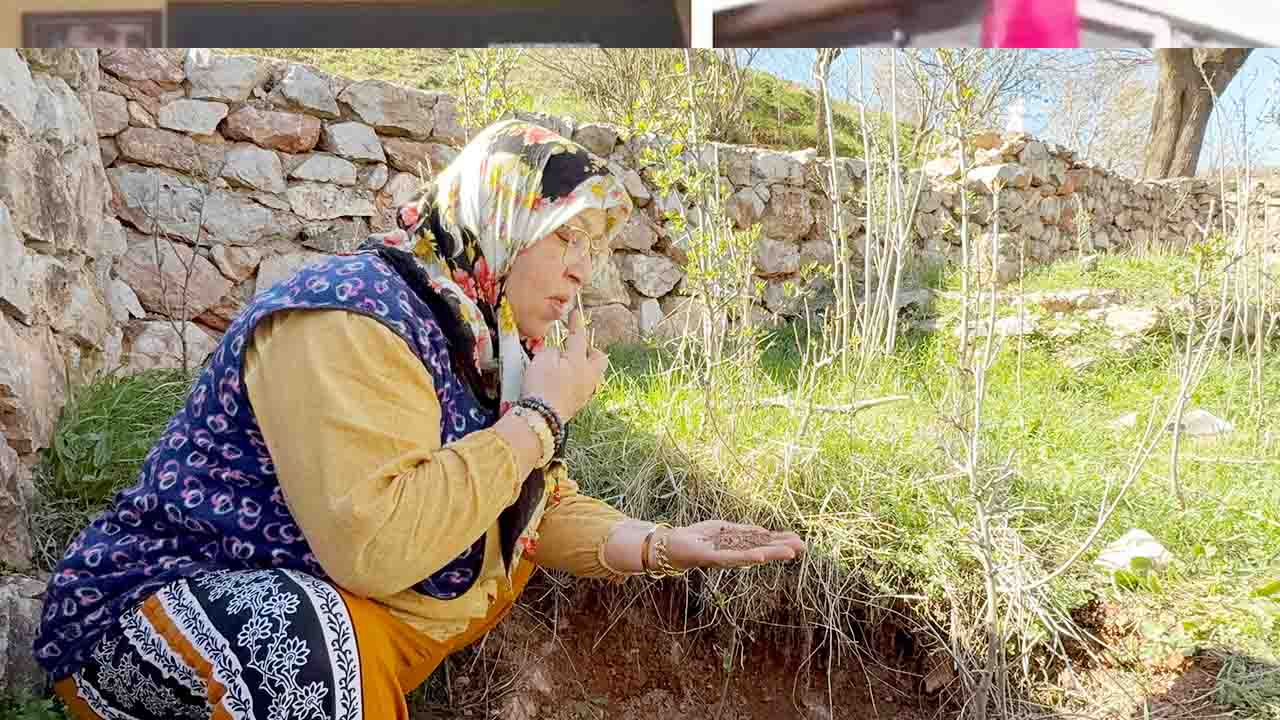 Yozgat'ın yanı başında 'yok artık' dedirten olay!