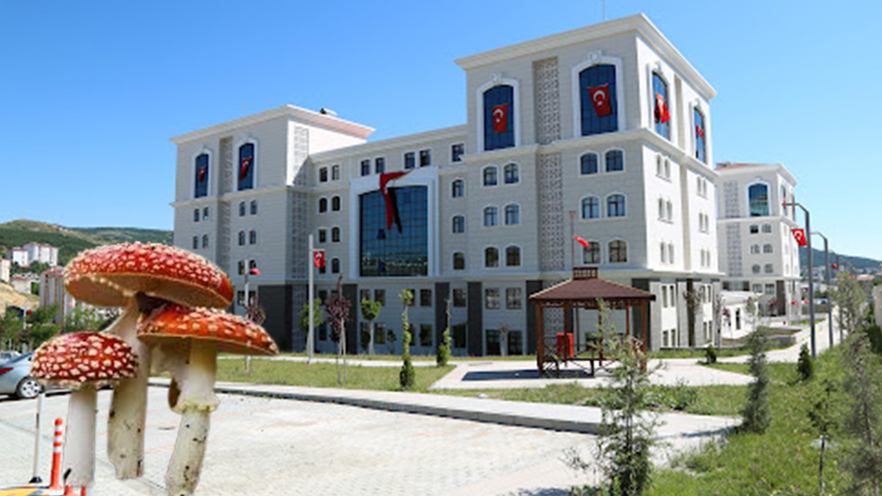 Yozgat Valiliği'nden Mantar Zehirlenmelerine Karşı Uyarı