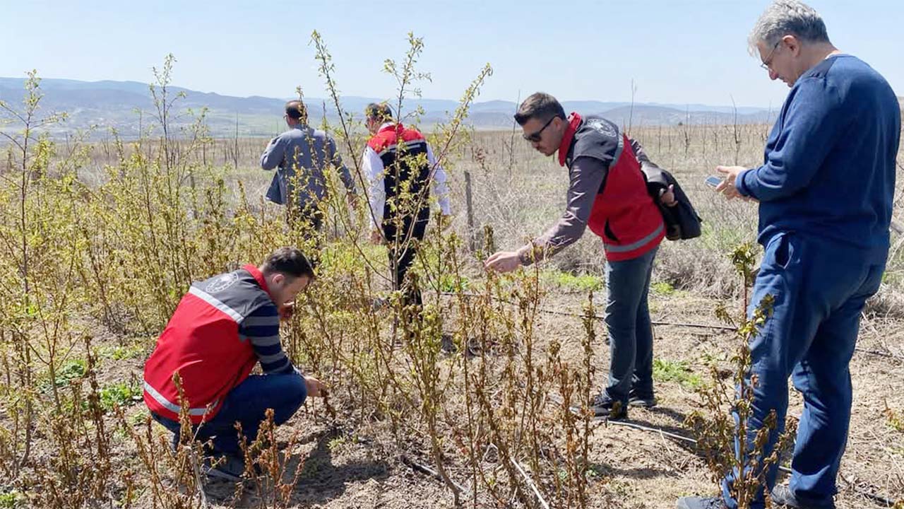 Yozgat Tarım ve Orman İl Müdürlüğü yerinde inceliyor
