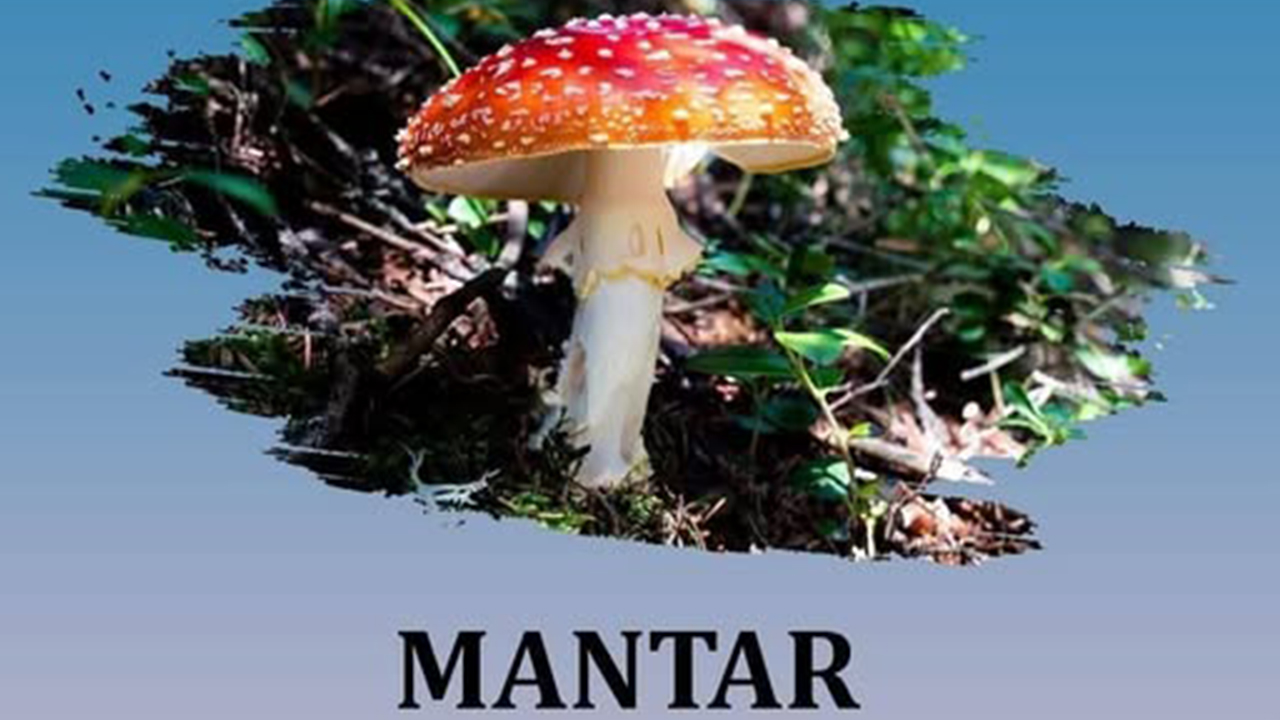 Yozgat'ta Zehirli Mantar Uyarısı