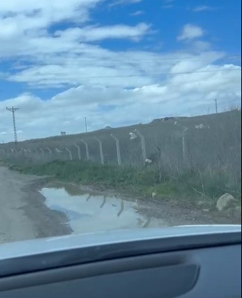 Yozgat'ta ter örgüler arasında mahsur kaldı