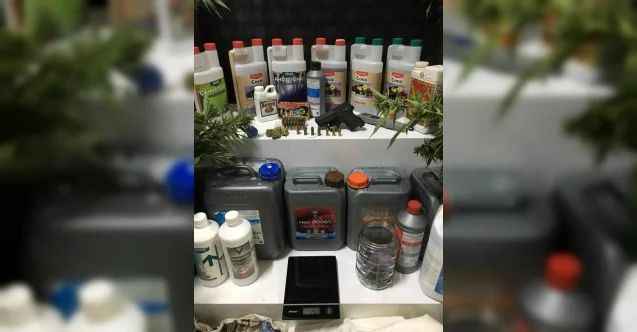 Uyuşturucu yetiştirilen villaya polisten şok baskın