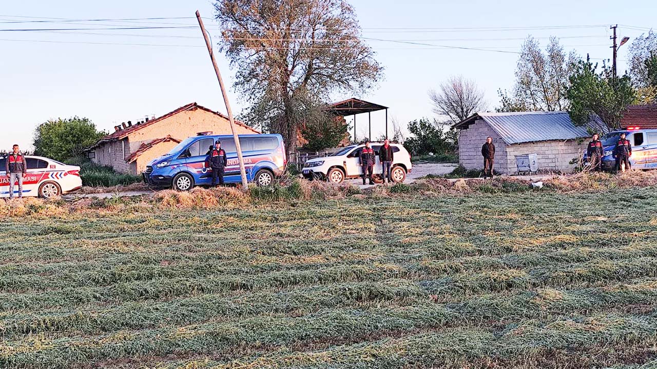 Sarıkaya’da Kayıp 6 Büyükbaş Hayvan Jandarma Tarafından Bulundu