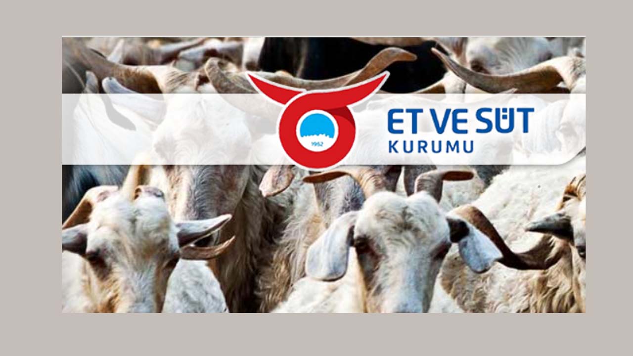 Et ve Süt Kurumu 2025 Et Fiyatlarını Güncelledi: Kırmızı Ette Artış, Beyaz Ette Sabit Fiyatlar