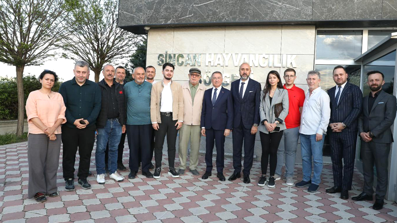 Sincan Hayvancılık Bölgesi'ne İnceleme