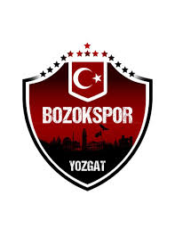 Yozgat Bozokspor'da bir süredir gündemde olan başkan istifası gerçekleşti! Alparslan Akyüz bıraktı!