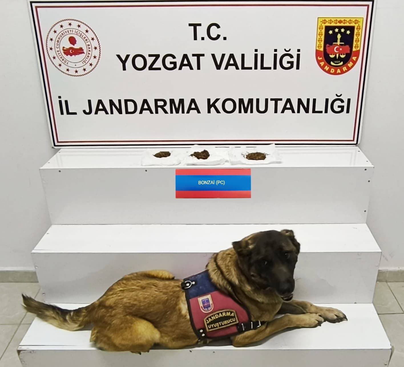 Yozgat’ta Uyuşturucu Operasyonu: 28,9 Gram Bonzai Ele Geçirildi