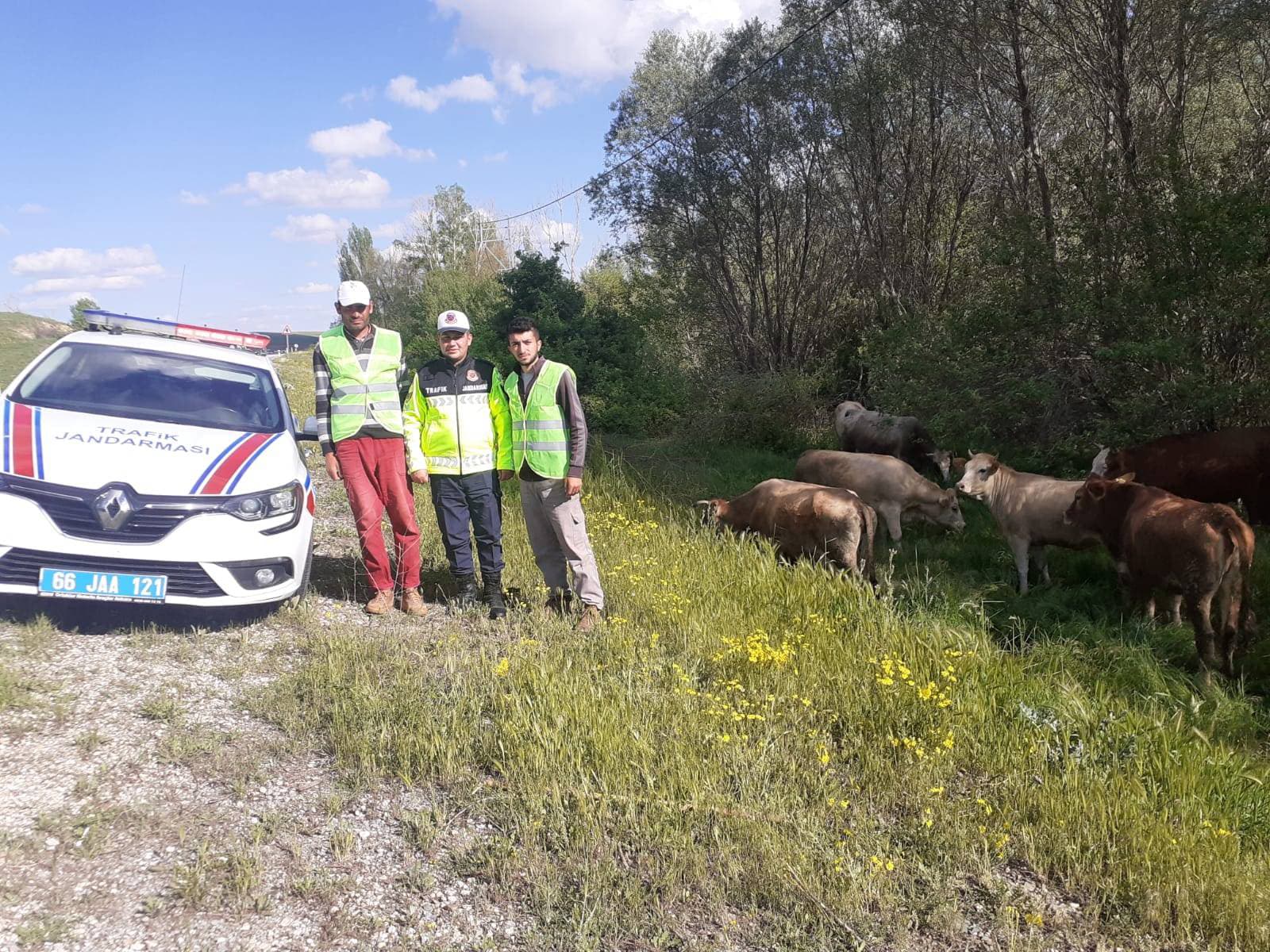 Yozgat'ta Jandarmadan Çobanlara Eğitim ve Yelek Dağıtımı