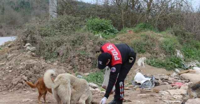 Polisler sokak hayvanlarına mama bıraktı
