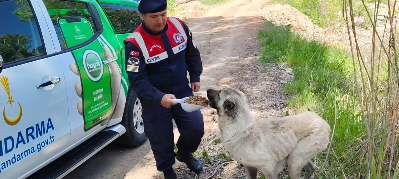 Yozgat Karanlıkdere Vadisi’nde Jandarmadan Biyokaçakçılık Denetimi