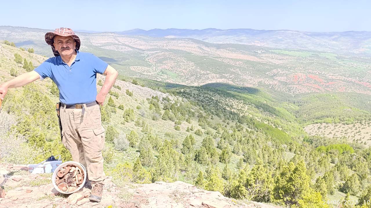 Yozgat Yaylaları Şifa Saçıyor! Parayla Bulamadığınız Şifayı Kenan Hoca Elleriyle Topladı!