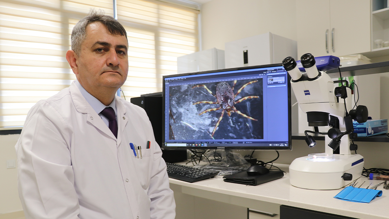 Hayvanların üzerindeki keneler elle koparılmamalı