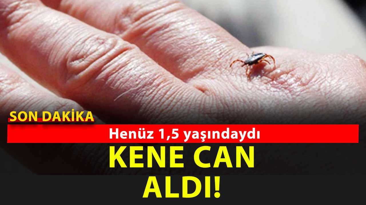 Yozgat'ın da korkulu rüyası olan kene can aldı! Daha 1,5 yaşındaydı!
