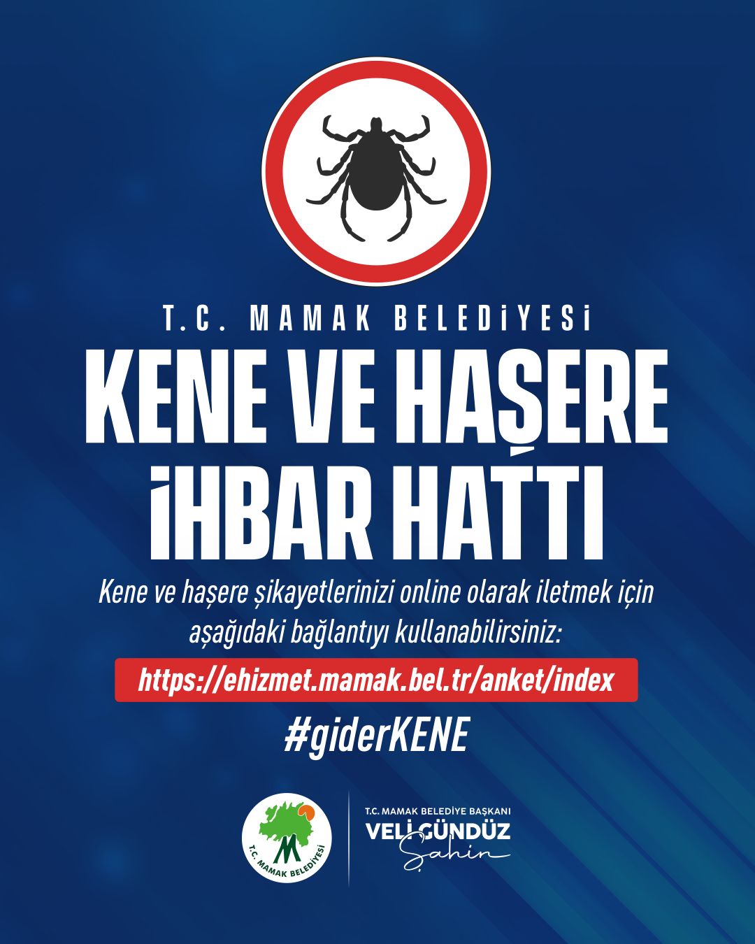 Mamak’ın Kene ve Haşere İhbar Hattı GiderKENE