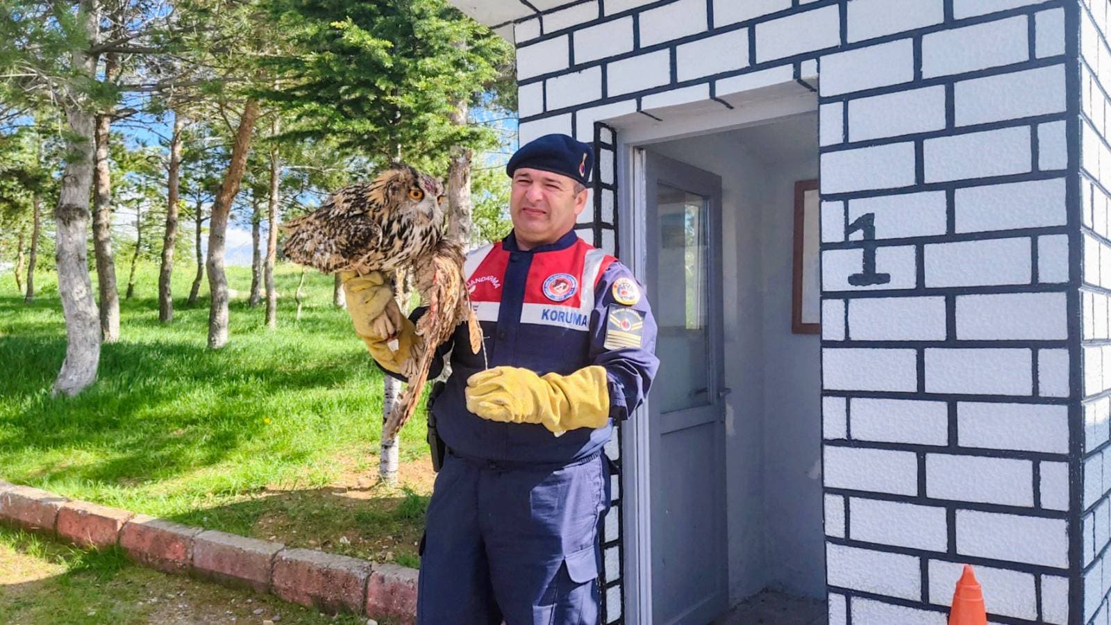 Yozgat’ta Yaralı Puhu Kuşu Jandarma Ekiplerince Kurtarıldı