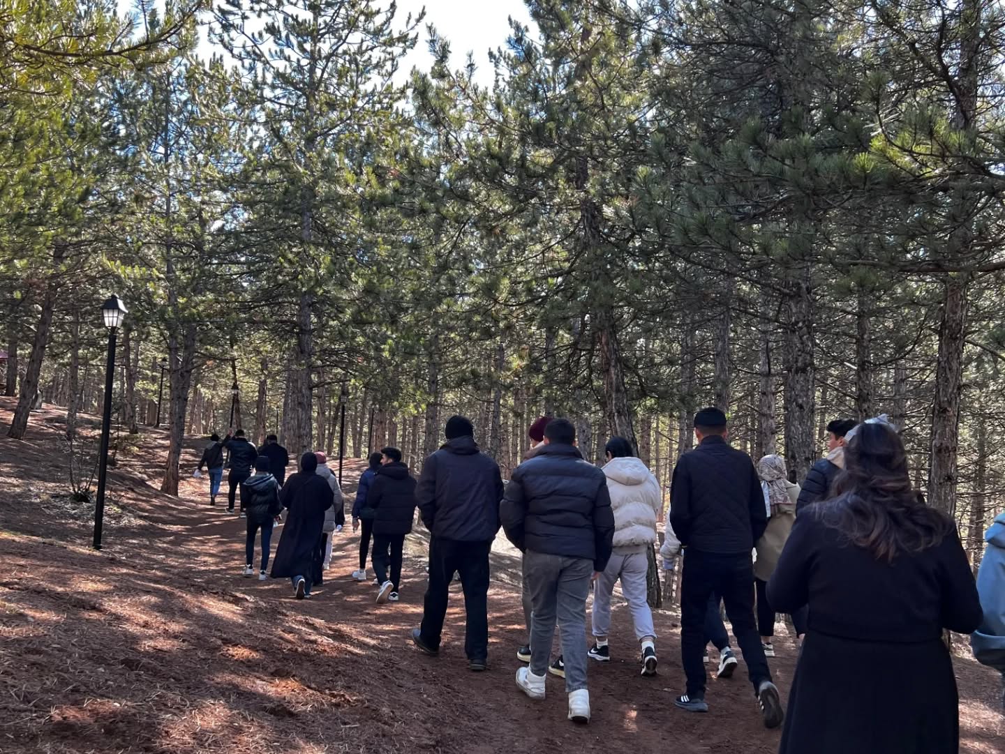 Doğaseverler Yozgat Çamlığı’nda Buluşacak