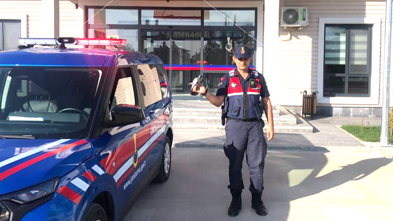 Yozgat’ta Yaralı Güvercin Jandarma Ekipleri Tarafından Kurtarıldı