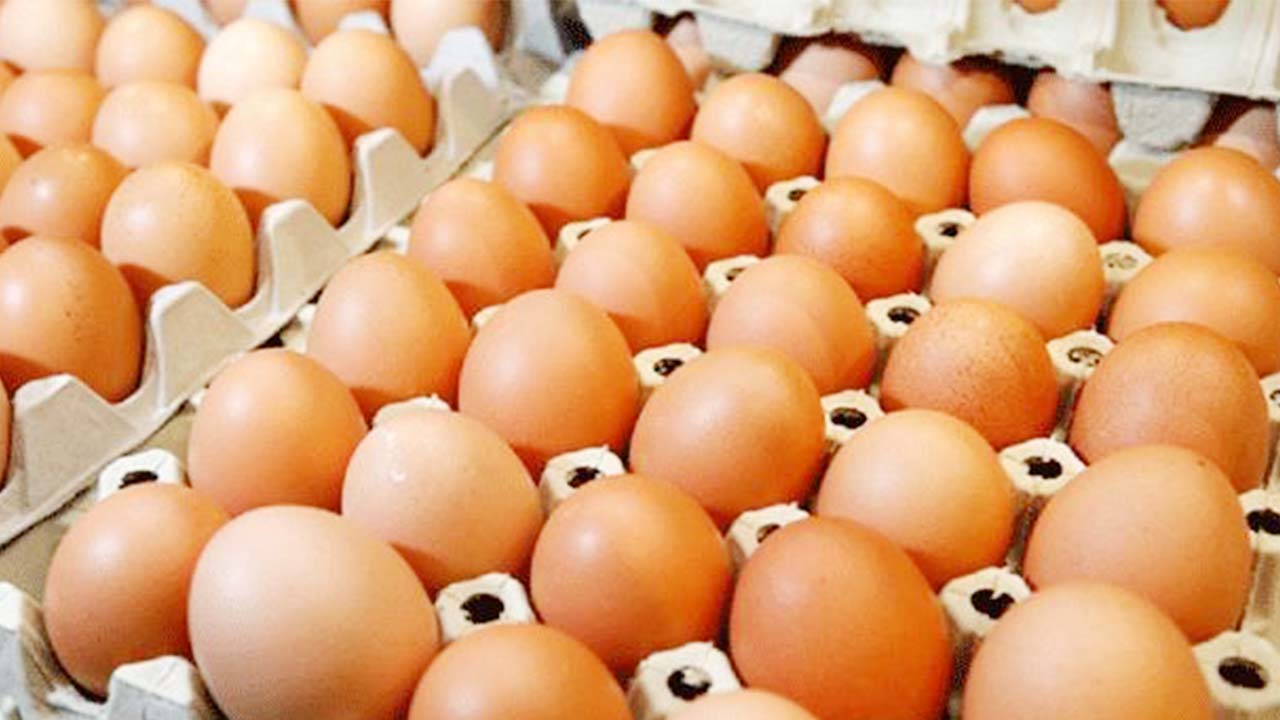 Yumurtanın Bozuk Olduğu Nasıl Anlaşılır