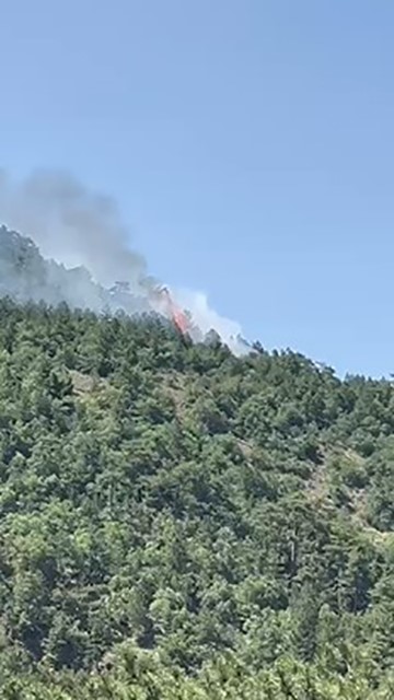 Kızılcahamam’da Orman Yangını