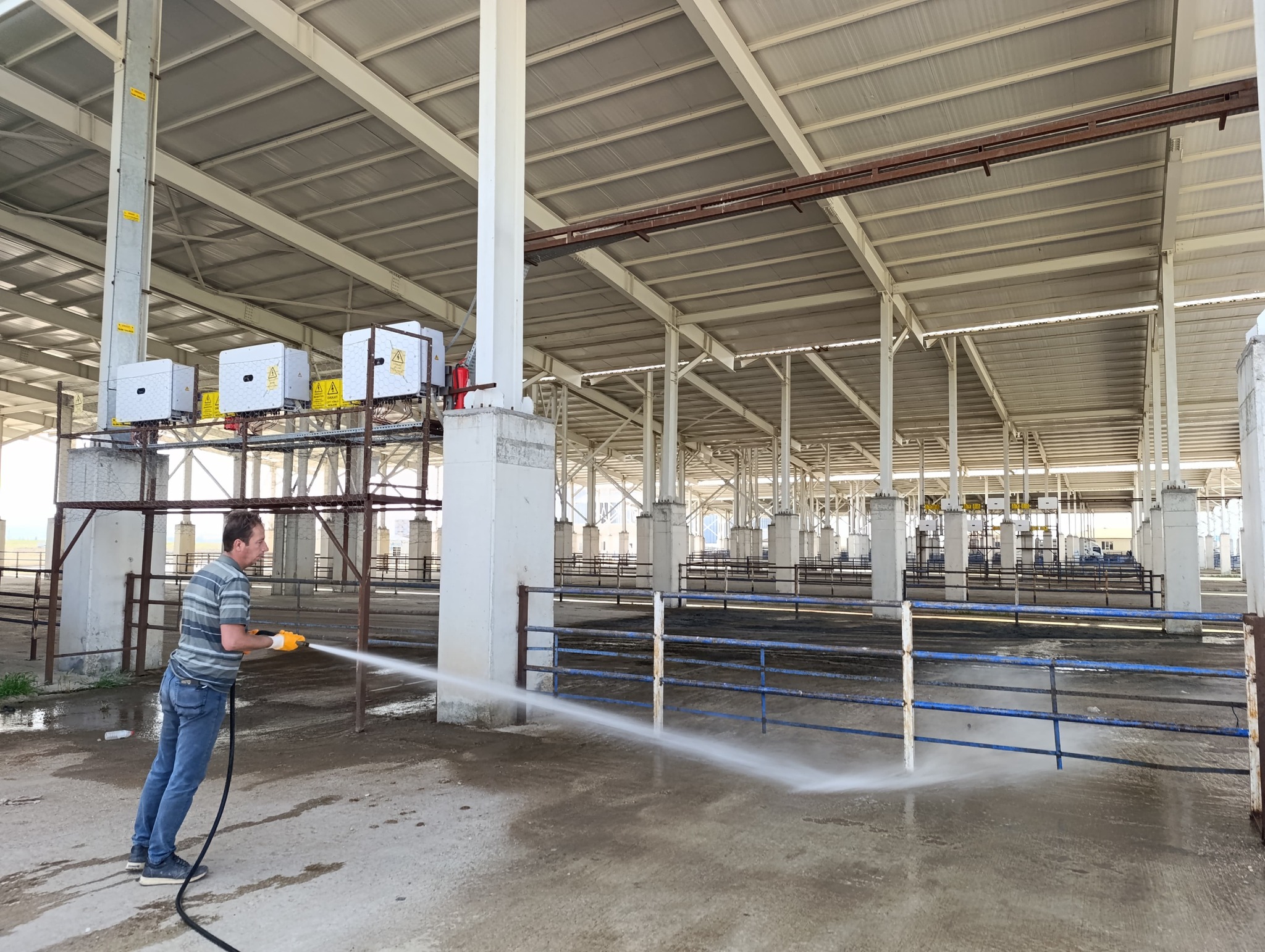Yozgat Genelinde Hayvan Pazarları Şap Hastalığı Tedbiriyle Geçici Olarak Kapatıldı
