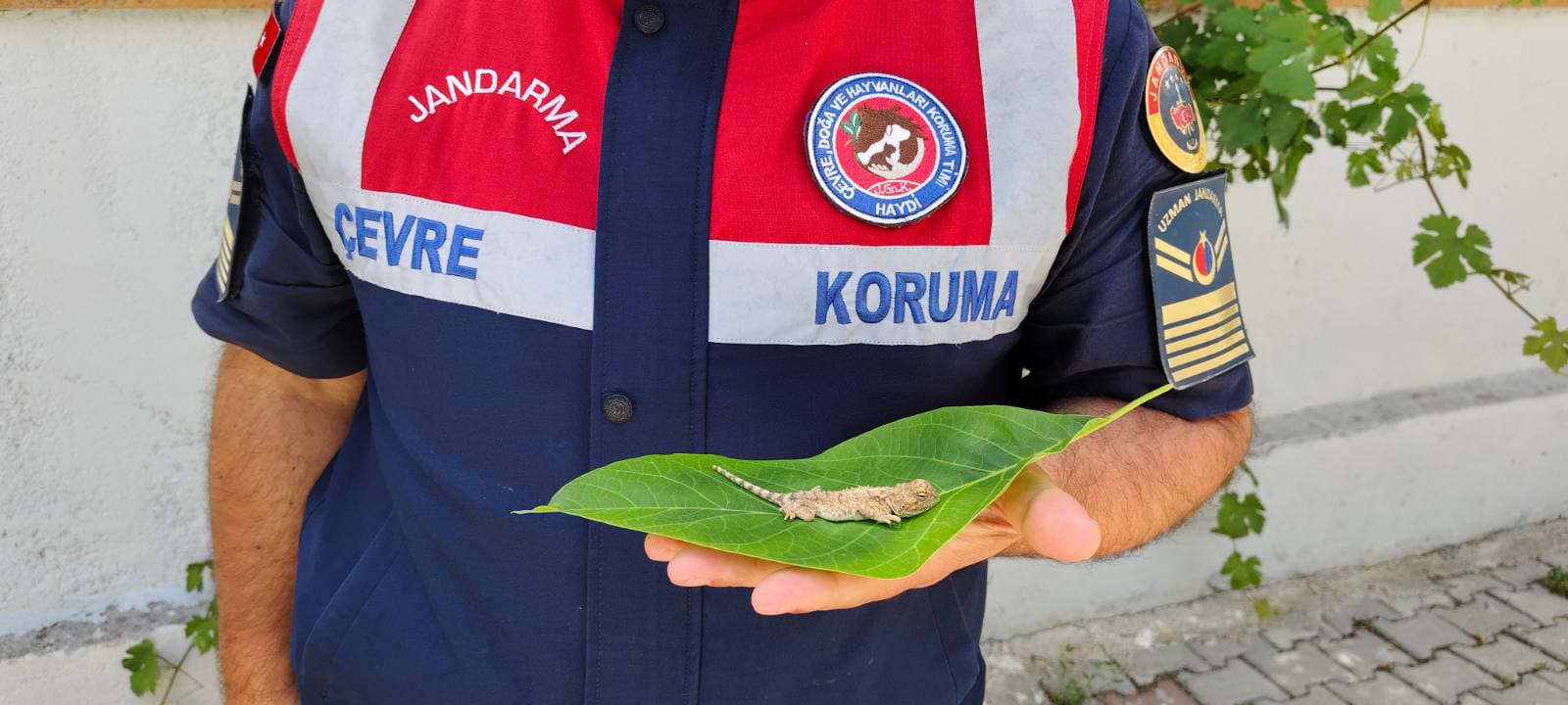 Yozgat Jandarma’dan Doğa Dostu Müdahale