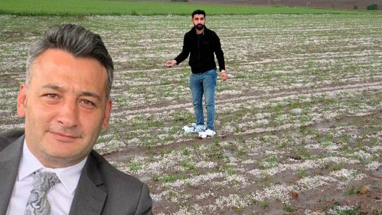 Yozgat’ta Dolu Yağışı Çiftçilere Büyük Zarar Verdi: Zafer Partisi’nden Yetkililere Destek Çağrısı