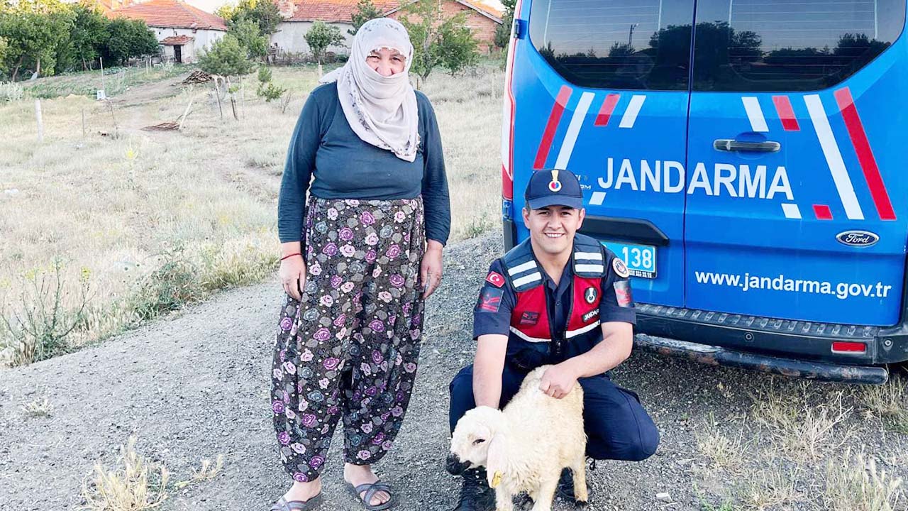 Çiğdemlili Teyzenin Kuzusunu Jandarma Buldu!