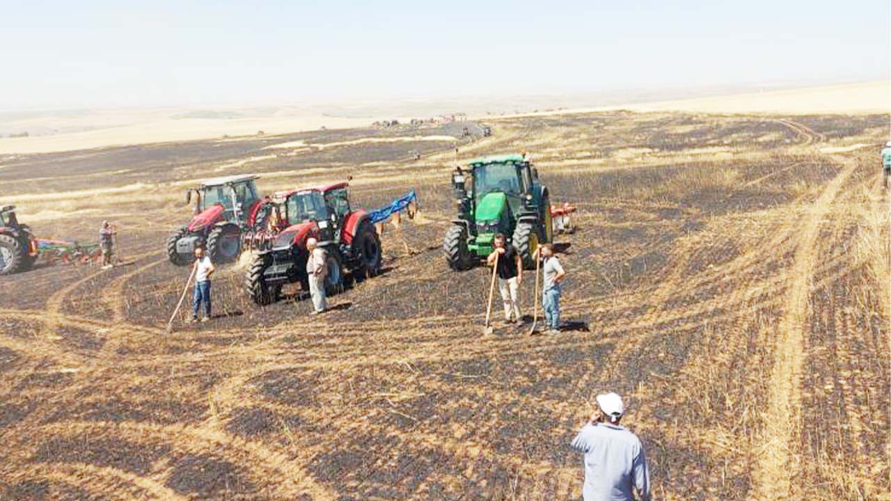 Yozgat’ta Tarlalar Alev Aldı! 100 Dönüm Arazi Küle Döndü…