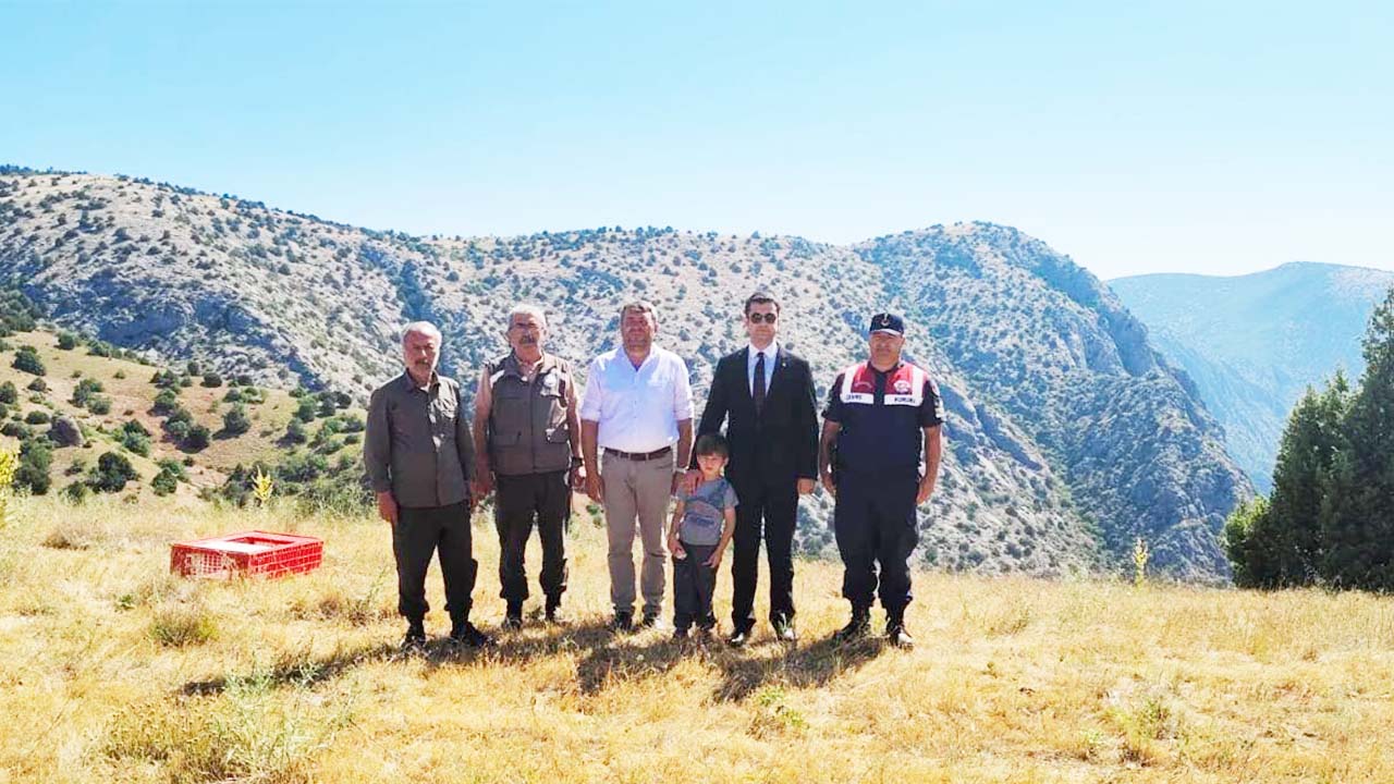 Kazankaya Kanyonu’nda Doğaya 225 Keklik Kanat Çırptı!