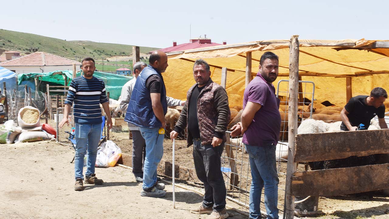 Yozgat Kurban Pazarı'nda Bu Yıl Fiyatlar Ne Kadar? Küçükbaş ve Büyükbaş Güncel Rakamlar