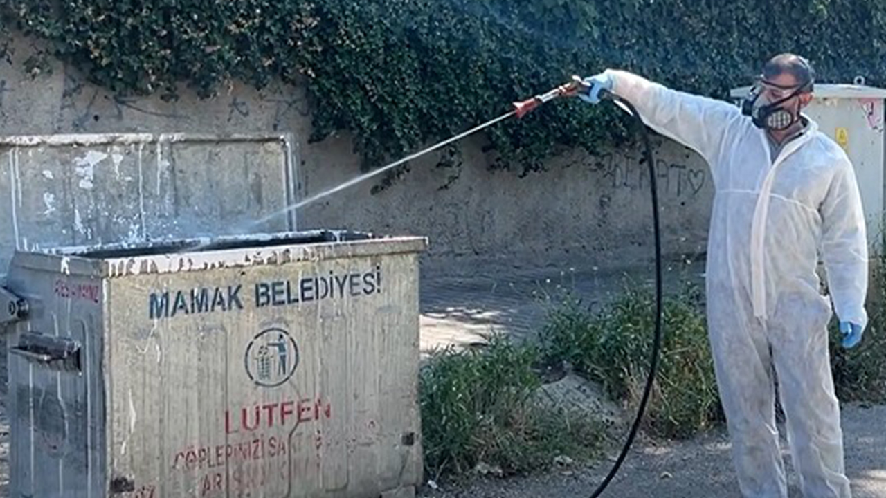 Mamak’ta Yaz Seferberliği