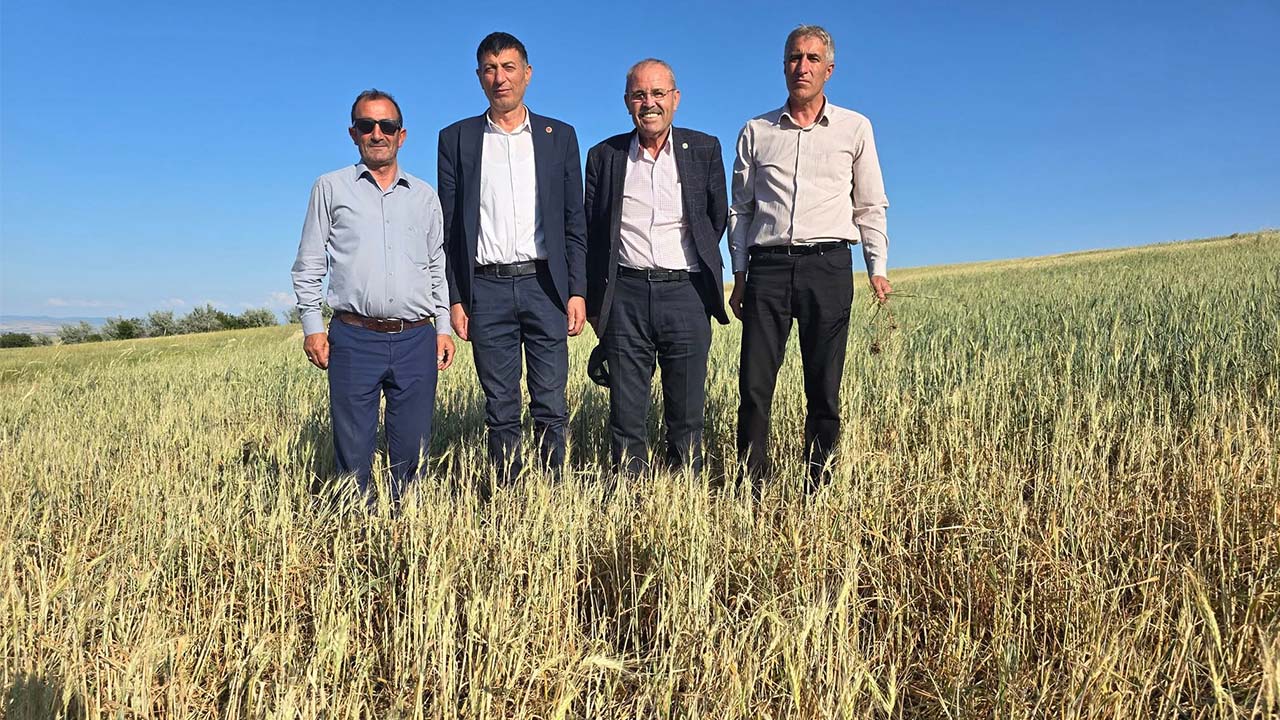 Yozgat'ta Dolunun Vurduğu Tarla Sahiplerine Hayati Uyarı: Hemen Müracaat Edin!