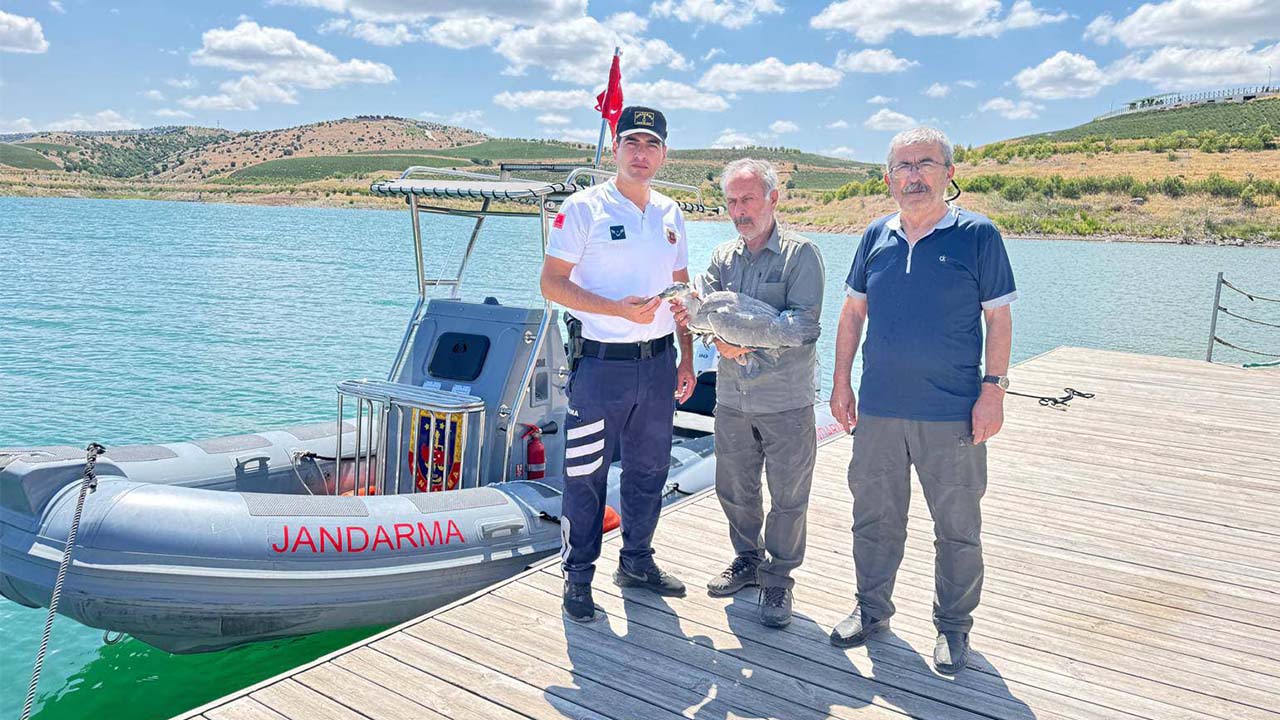 Yozgat Süreyya Bey Barajı'nda Yaralı Balıkçıl Kuşuna Jandarmadan Şefkat Eli!