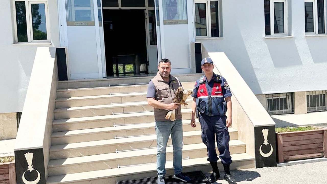 Yaralı Şahin’e Yozgat Jandarması Umut Oldu!