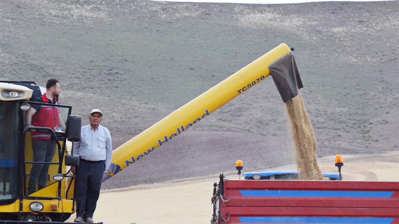 Yozgat'ta Arpa Bereketi Başladı: 2025 Hasadı Yerköy'den Start Aldı!
