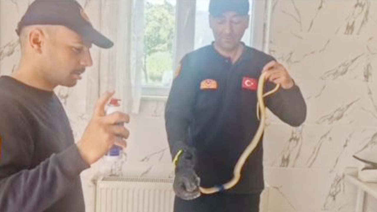 Yozgat’ta Bir Yılan İstinat Duvarında Sıkıştı İtfaiye Hayata Döndürdü!