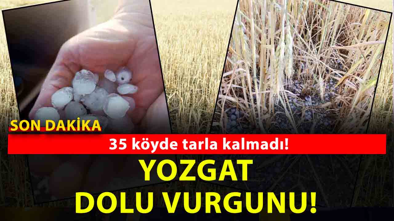 Yozgat’ta çiftçiye dolu darbesi: Tarlalar taş büyüklüğünde doluya teslim oldu!