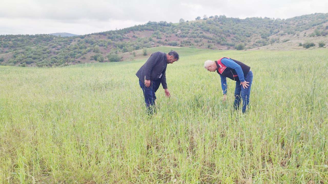 Yozgat’ta Yağış Sonrası 8 İlçede Büyük Hasar! Ekipler Sahada!