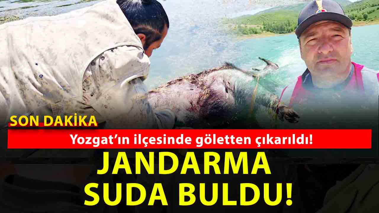 Yozgat Jandarması’ndan çevre harekatı: Gölette ölü domuz çıkarıldı, ormandaki çöpler temizlendi