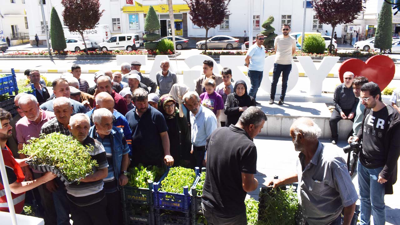 Yozgat'ta Zafer Partisi’nden 40 Bin Sebze Fidesi Ücretsiz Dağıtıldı!
