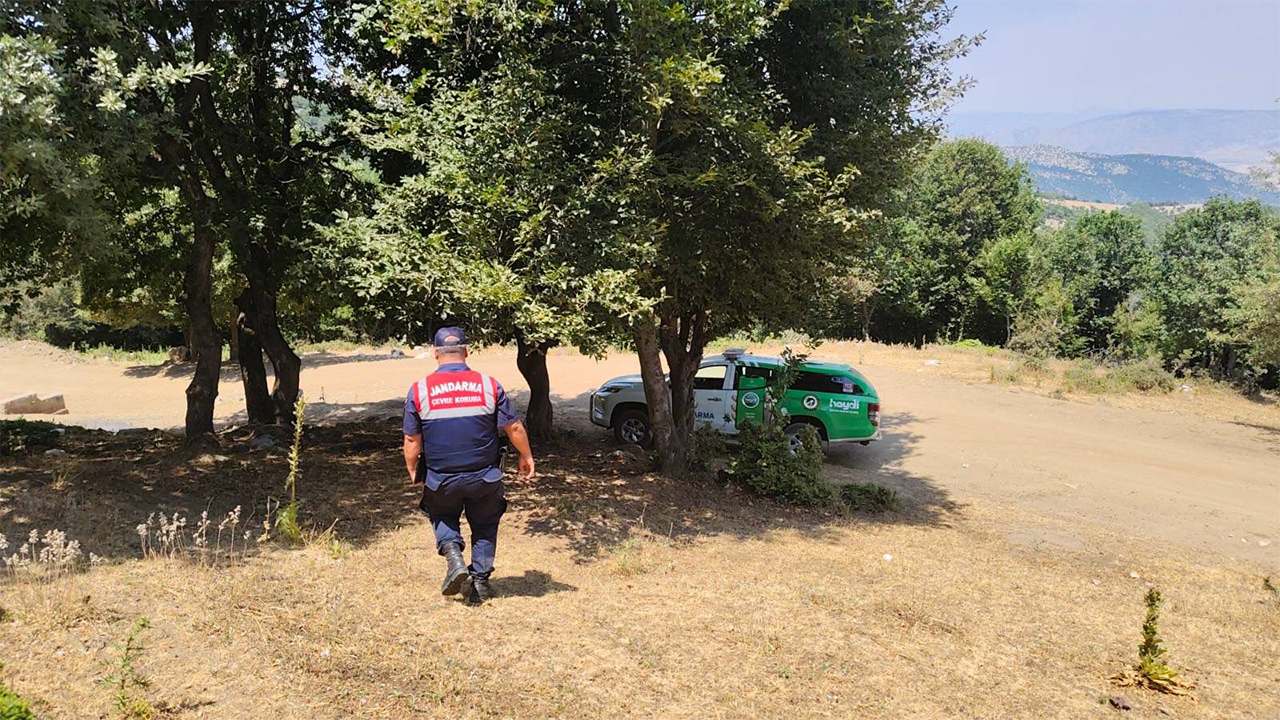 Jandarma Ormanda Nöbette: Ateş Yakan Yandı!