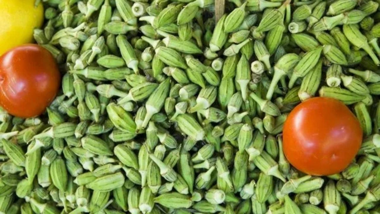 Bamya Suyu Mucizesi! Metabolizma Hızlanıyor