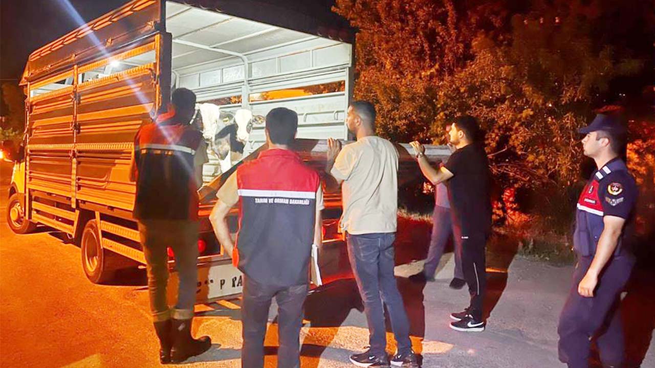 Yozgat’ta Şap Hastalığı Kurallarını Çiğneyen Besiciye 105 Bin TL Ceza!