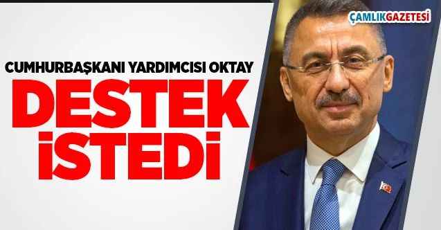 Cumhurbaşkanı Yardımcısı Oktay Destek İstedi