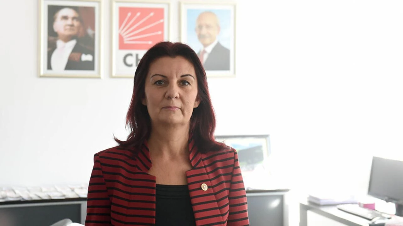CHP Eski Milletvekili ve Akademisyen Prof. Dr. Lale Karabıyık Hayatını Kaybetti
