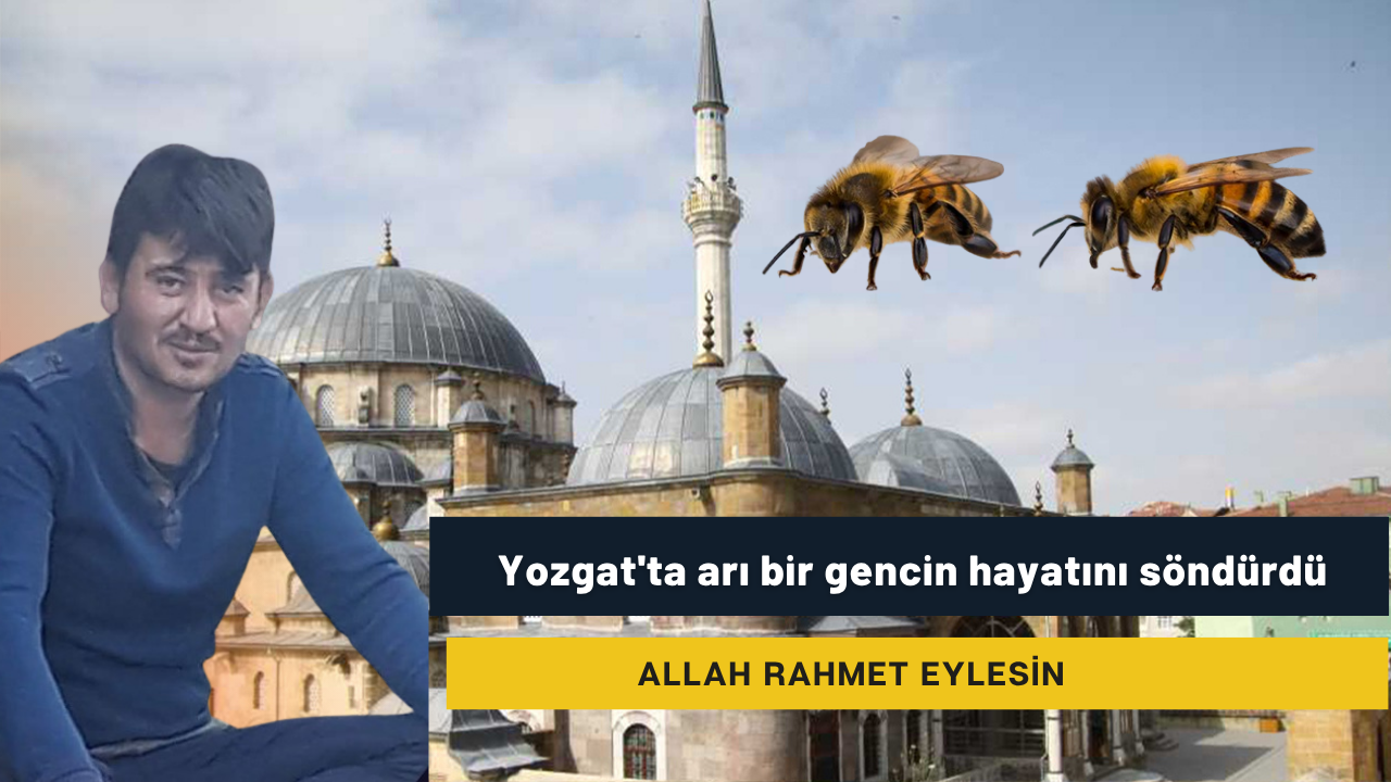 Yozgat'ta arı bir gencin hayatını söndürdü