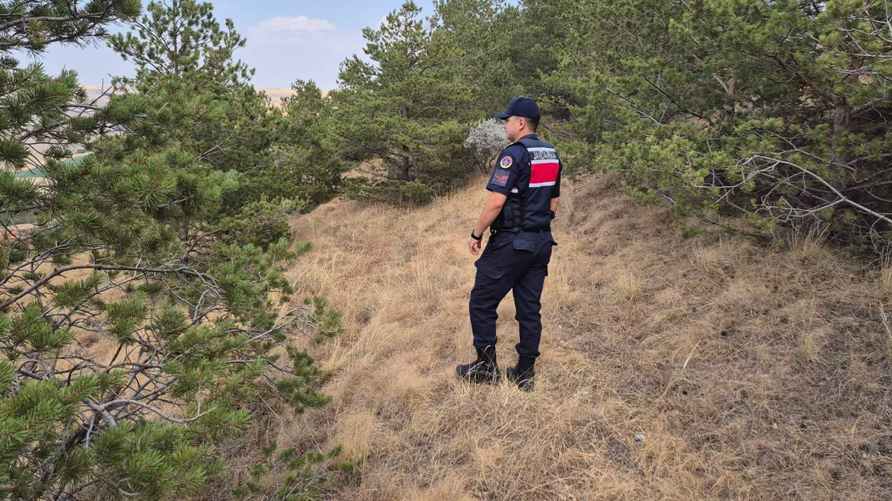 Uzunlu ve Ovakent’te Yangın Alarmı: Jandarma Harekete Geçti