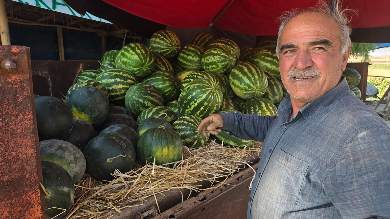 Yozgat’ın karpuzu tarlada yeşil yeşil parlıyor: lezzeti ile bir başka…