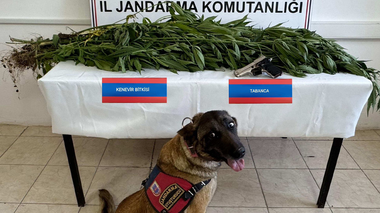 Yozgat’ta Jandarması'ndan Operasyon