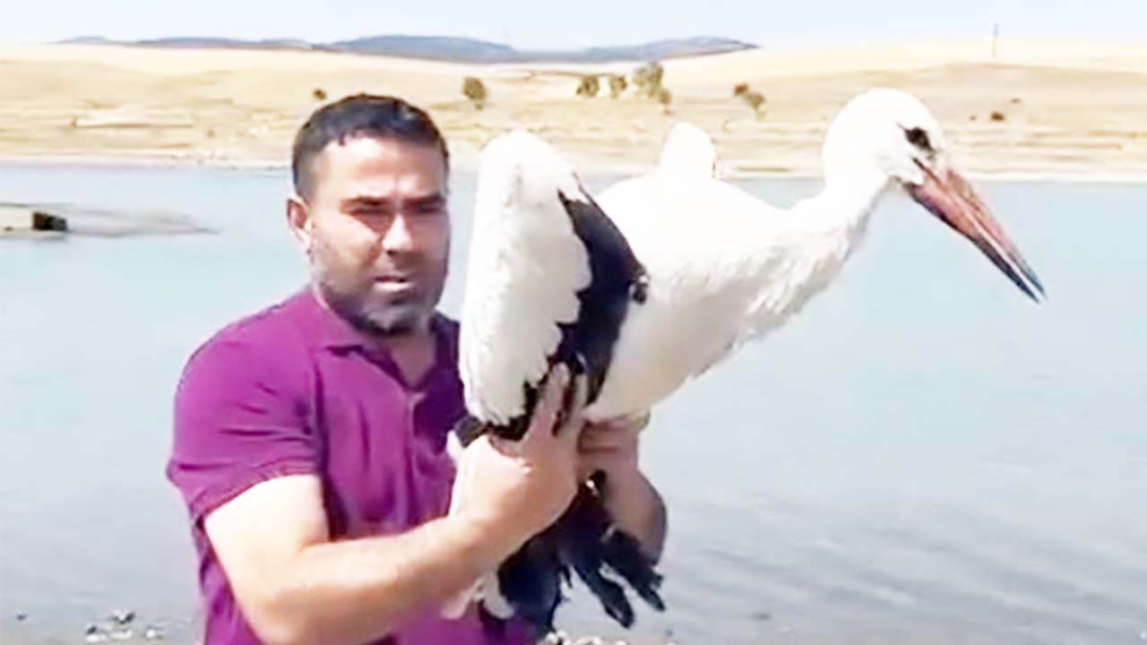 Yozgat’ta Yaralı Leylek 3 Ay Sonra Özgürlüğüne Kanat Çırptı